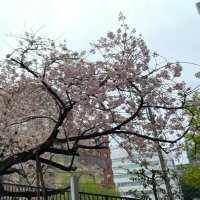 な (@ntrhk_n) 's Twitter Profile