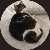carito🇦🇷⭐⭐⭐ (@caropach2002) 's Twitter Profile Photo carito🇦🇷⭐⭐⭐ (@caropach2002) 's Twitter Profile Photo