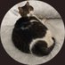 carito🇦🇷⭐⭐⭐ (@caropach2002) Twitter profile photo carito🇦🇷⭐⭐⭐ (@caropach2002) Twitter profile photo