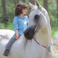 Ezzat Omar (@ezzatomar11) 's Twitter Profile
