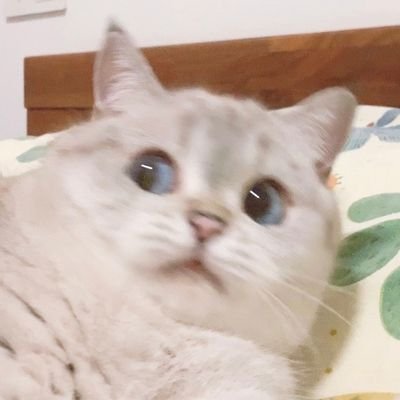 Sylvia19990623's profile picture. 