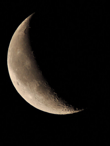 nilgnos's profile picture. 