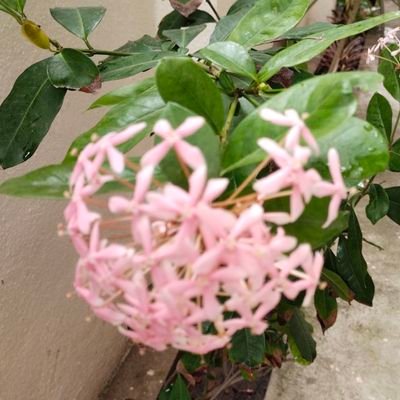 சூப்பர்