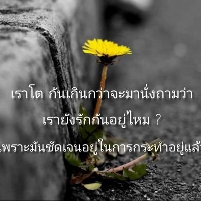 heesui097's profile picture. ปัตตานี