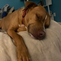 Mark (@markirwin62) 's Twitter Profile