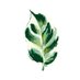 예원타투🌿💪🏼🏃🏻🌈🔡 #식물타투 #동물타투 #컬러타투 #꽃타투 (@yewon_tattoo) Twitter profile photo 예원타투🌿💪🏼🏃🏻🌈🔡 #식물타투 #동물타투 #컬러타투 #꽃타투 (@yewon_tattoo) Twitter profile photo