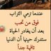 ندى العالميه 💛💛 (@nadaaldosri36) Twitter profile photo ندى العالميه 💛💛 (@nadaaldosri36) Twitter profile photo