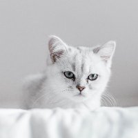 botter (@m5kub074) 's Twitter Profile