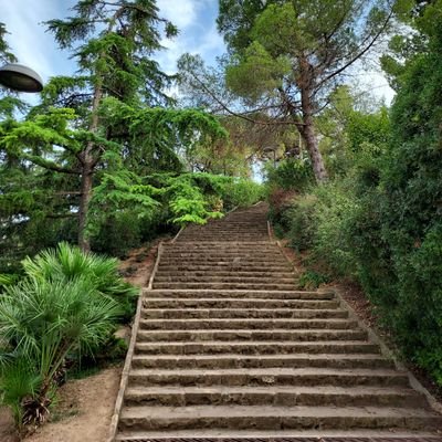 laserpitarra's profile picture. 