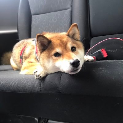 Enjoy勢です マナー○