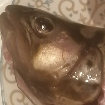 DonPiChuLonさんのプロフィール画像