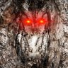 Stan13919393's profile picture. #Bitcoin propagátor a poradce, andragog, ateista věřící ve svobodu, demokracii a volný trh a nevěřící jakýmkoliv ismům. Starého psa novým kouskům naučíš!