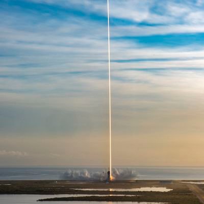 fritz_le_chat's profile picture. 