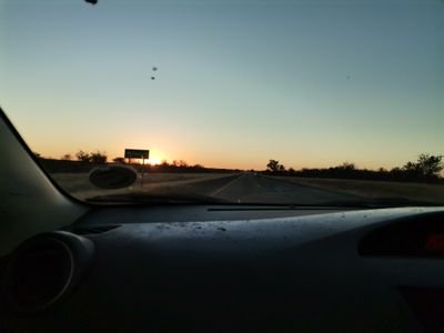 Lonetokolo's profile picture. 