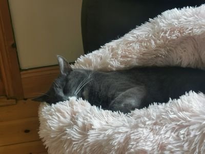 cosmikgirly's profile picture. 