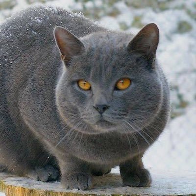 素敵なFAに癒されてます。ありがとうございます。無言いいね失礼します。 ゲーム界隈の推しを中心に生活がまわっている。音楽も好き