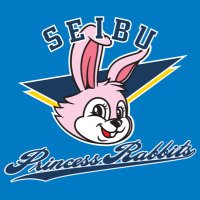 SEIBUプリンセスラビッツ(@seibu_icehockey) 's Twitter Profile Photo