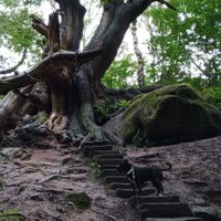 Cripto K (@kathy23239555) 's Twitter Profile