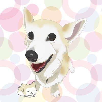 佐藤聖 ミラクル Hijirin 67 Twitter 佐藤聖 ミラクル Hijirin 67 Twitter