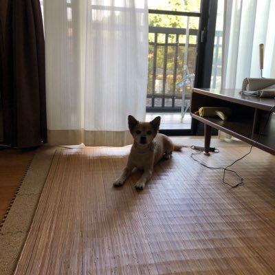 snnn_fos's profile picture. 