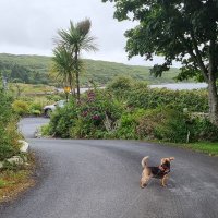 Chel (@chelsporty) 's Twitter Profile