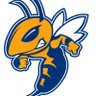 AliceJohnsonJrH's profile picture. Home of the Mighty Hornets! 💙🐝 #HornetNation