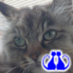 ねこじじい (@nekozizii) Twitter profile photo ねこじじい (@nekozizii) Twitter profile photo