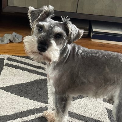 codemonkey1776x's profile picture. 