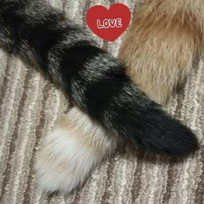 宮+さんのプロフィール画像