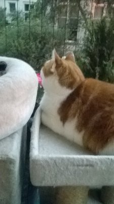 SolaScr89396375's profile picture. 