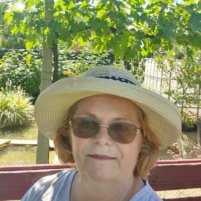 DanilaDorina's profile picture. Blogger, Marketing teacher