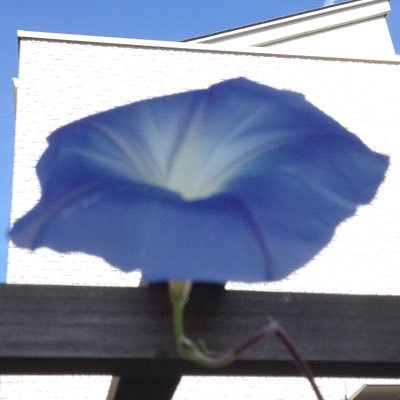 maromayu10's profile picture. テスト