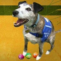 David (@david08891903) 's Twitter Profile