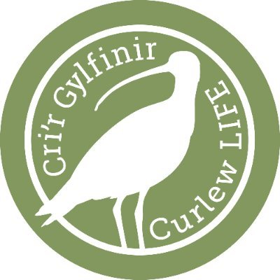 Prosiect 4 ml gan RSPB i achub y gylfinir - Ysbyty Ifan a Hiraethog | 4yr @LIFEProgramme project to stabilise breeding Curlew population  (See also @CurlewLIFE)