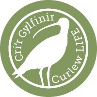 Cri'r Gylfinir(@CriGylfinir) 's Twitter Profile Photo Cri'r Gylfinir(@CriGylfinir) 's Twitter Profile Photo