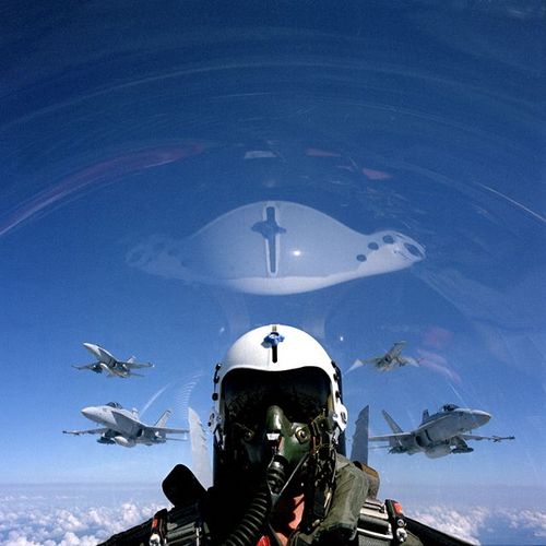 ChirpingNick's profile picture. 