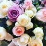 ilovelangs87's profile picture. 語学大好きなHanaです！中国語、ベトナム語、フランス語、英語勉強中/他好きなもの➡︎C-pop、スピリチュアル(フラワーエッセンス等)、台湾ドラマ、ベトナム音楽(Soobin, Hoàng Dũng, Rhymastic等)/日中友好・ベト日友好