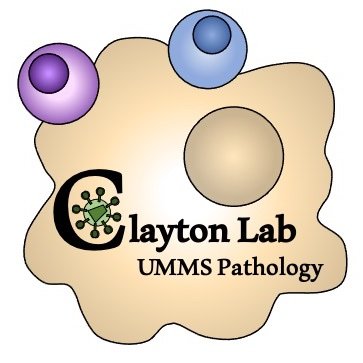 Studying pathogens that hide out in macrophages to escape killer immune responses