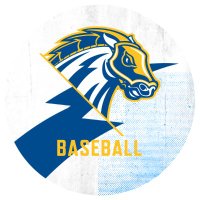 New Haven Baseball(@UNewHavenBASE) 's Twitter Profile Photo