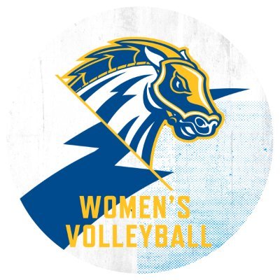 The official Twitter page of the University of New Haven Women's Volleyball program