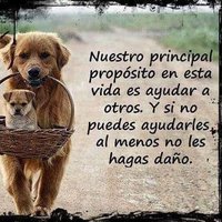 Graw Ogeraw. (@warg0109) 's Twitter Profile