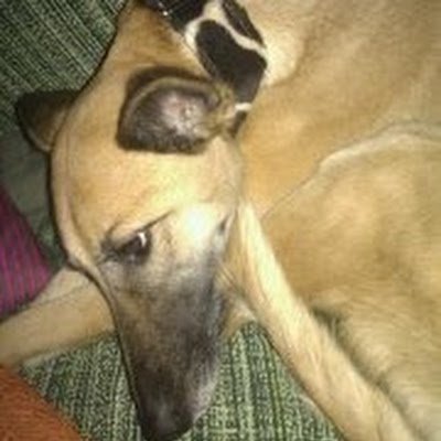 Almuden23028770's profile picture. .