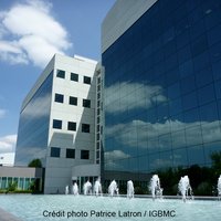 IGBMC (@igbmc) 's Twitter Profile