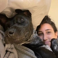 jill d bean (@jilliandepinto) 's Twitter Profile