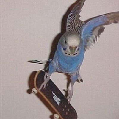 N_Sz5686's profile picture. 