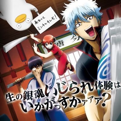 銀ちゃんさんのプロフィール画像