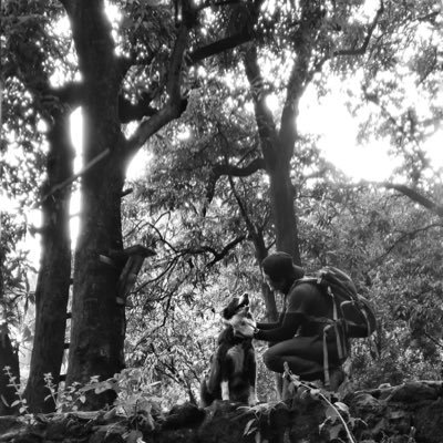 kkwato22's profile picture. 