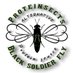 black soldier fly nepal (proteinsects) (@proteinsects) Twitter profile photo black soldier fly nepal (proteinsects) (@proteinsects) Twitter profile photo