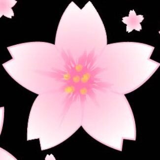 d13297714470188's profile picture. 4DPデビューの頃からTVで見てかっこいいなぁと✨ USAで沼落ちしてDPCに🇺🇸 ISSAくん❤️推し 2018HONDAイベント    2019郡山・市原  2020たまアリ  2022ロキホラ・松戸・武道館・幕張  2023レイクタウン・NHK ・横浜Billboard  2024大宮・レイクタウン・NHK