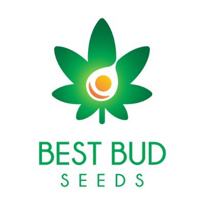 Marijuana Seeds Online from a High-Quality Trusted US Cannabis Seed Bank